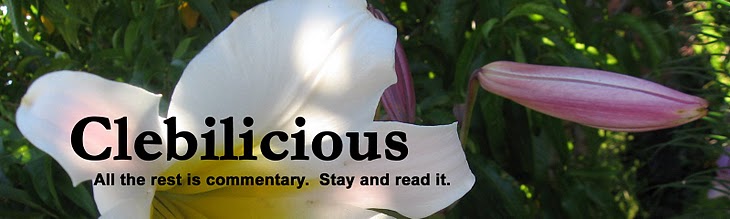 Clebilicious